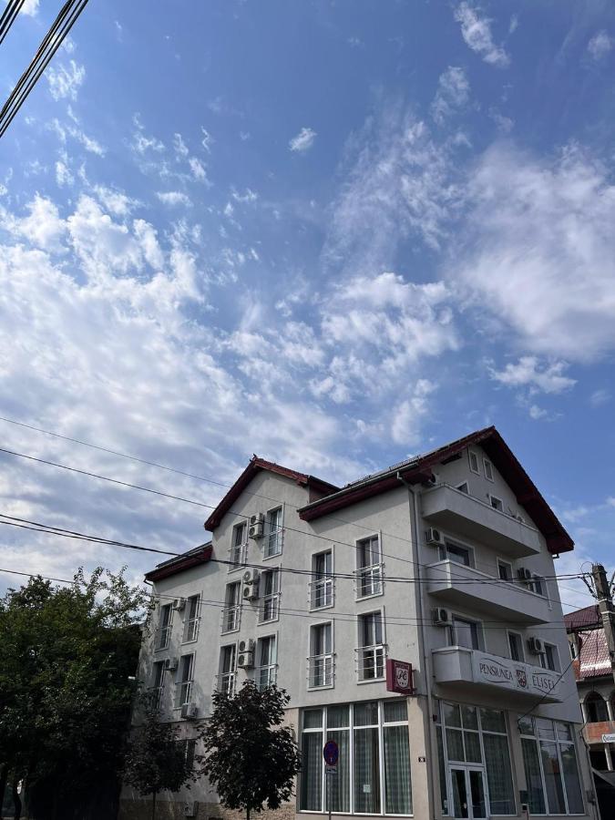 Camere De Inchiriat Elisei 蒂米什瓦拉 外观 照片
